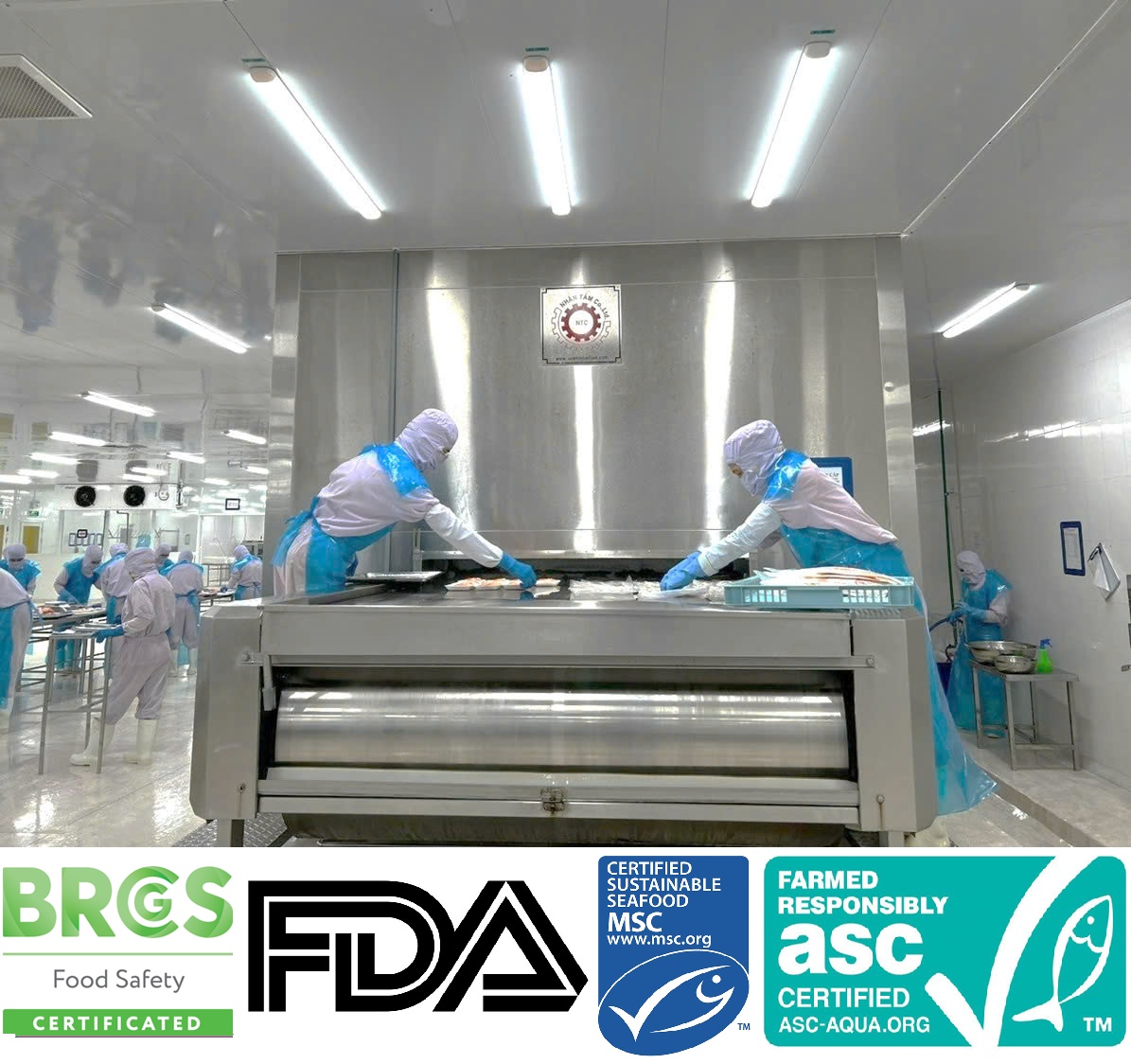 Giới thiệu - OUR FACTORY