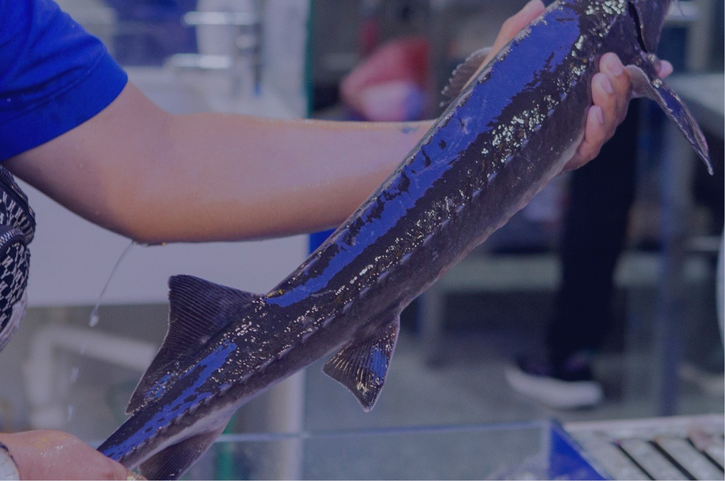 Trang - OUR FACTORY - Block 2